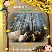 2017 klein - Candy Jadoul (ISBN 9789463428651)