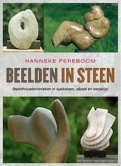 Beelden in steen - Hanneke Pereboom (ISBN 9789058779175)