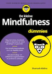 De kleine mindfulness voor dummies - Shamash Alidina (ISBN 9789045350387)