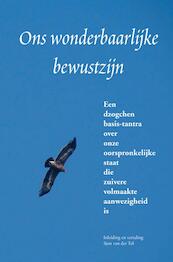 Ons wonderbaarlijke bewustzijn - Sjon van der Tol (ISBN 9789464355321)