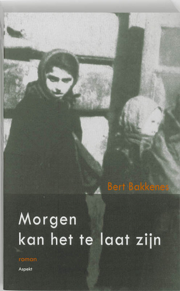 Morgen kan het te laat zijn - Bert Bakkenes (ISBN 9789464624496)