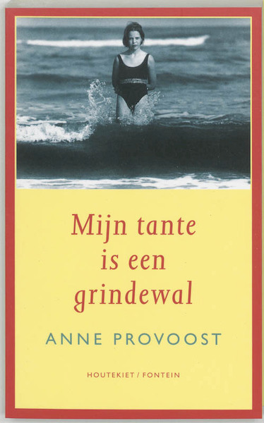 Mijn tante is een grindewal - Anne Provoost (ISBN 9789052403281)