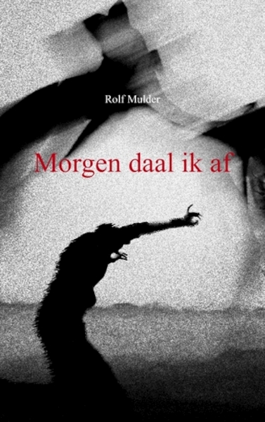 Morgen daal ik af - Rolf Mulder (ISBN 9789461930330)