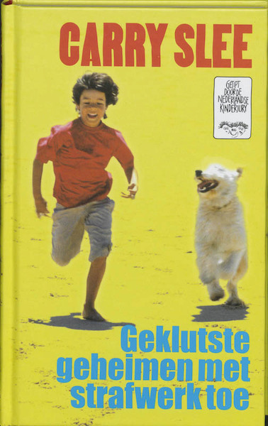 Geklutste geheimen met strafwerk toe - Carry Slee (ISBN 9789049920821)