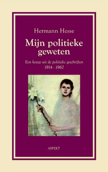 Mijn politieke geweten - Hermann Hesse (ISBN 9789059115156)
