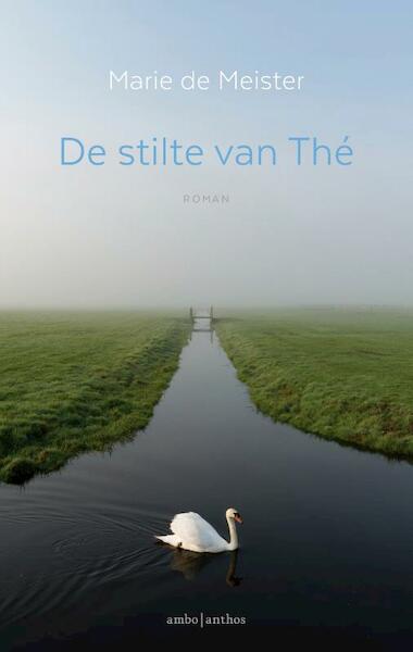 De stilte van Thé - Marie de Meister (ISBN 9789026333514)