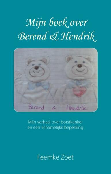 Mijn boek over Berend en Hendrik - Feemke Zoet (ISBN 9789462030183)