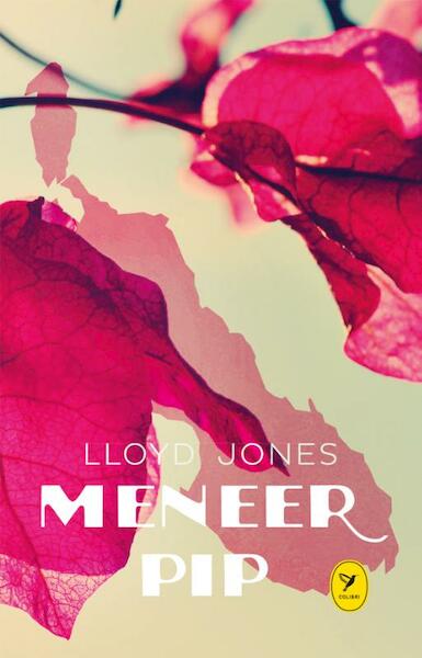 Meneer Pip - Lloyd Jones (ISBN 9789045340029)