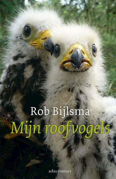 Mijn roofvogels - Rob Bijlsma (ISBN 9789045021577)