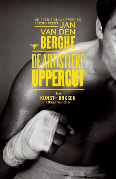 De artistieke uppercut - Jan Van den Berghe (ISBN 9789085424789)