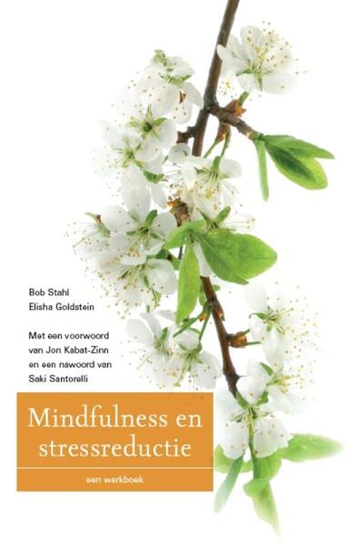 Mindfulness en stressreductie - Bob Stahl, Elisha Goldstein (ISBN 9789057123184)