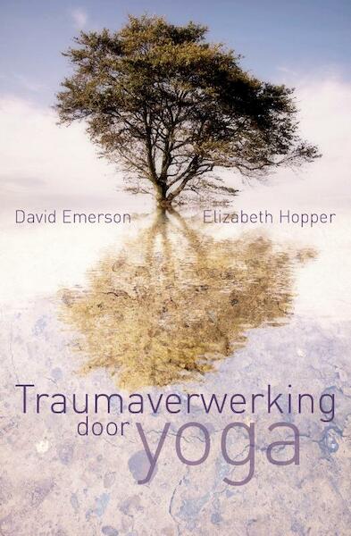 Traumaverwerking door yoga - David Emerson, Elizabeth Hopper (ISBN 9789401301442)