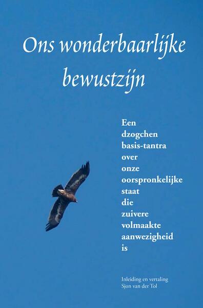 Ons wonderbaarlijke bewustzijn - Sjon van der Tol (ISBN 9789464355321)