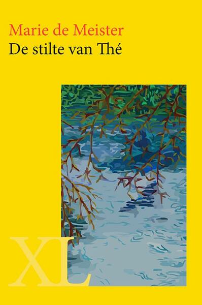 De stilte van Thé - Marie de Meister (ISBN 9789046312575)
