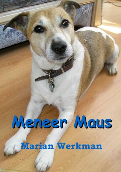 Meneer Maus - Marian Werkman (ISBN 9789085701620)