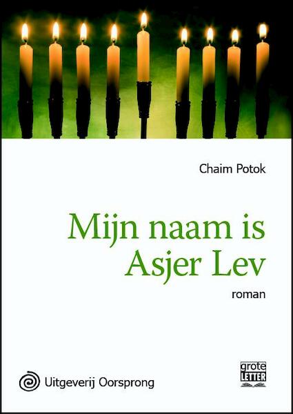 Mijn naam is Asher Lev - grote letter uitgave - Chaim Potok (ISBN 9789461011404)
