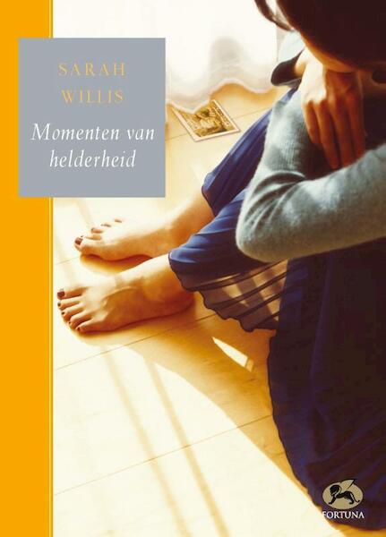 Momenten van helderheid - S. Willis (ISBN 9789000337057)