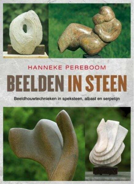 Beelden in steen - Hanneke Pereboom (ISBN 9789058779175)