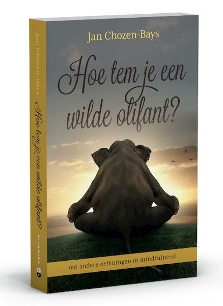 Hoe tem je een wilde olifant ? - Jan Chozen-Bays (ISBN 9789401301152)