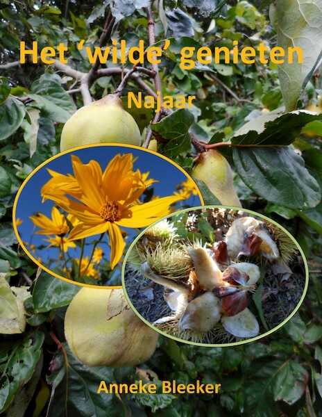Het wilde genieten - Najaar - Anneke Bleeker (ISBN 9789083106137)