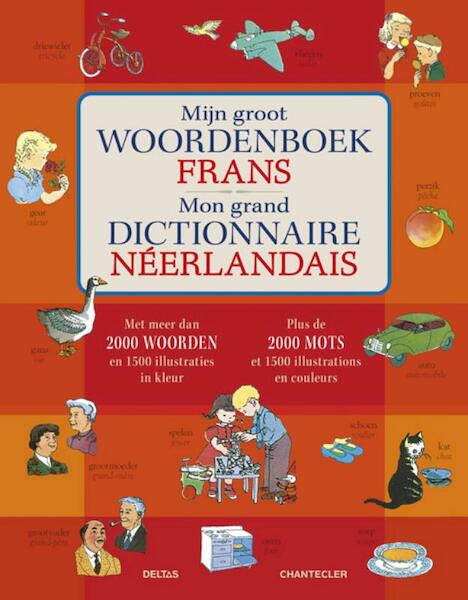 Mijn groot woordenboek Frans - Ellen Wales Walpole (ISBN 9789044733471)