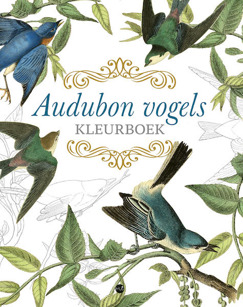 Audubon vogels kleurboek - John James Audubon, Peter Gray (ISBN 9789045328478)