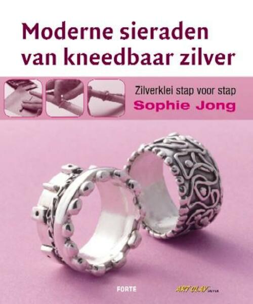 Moderne sieraden van kneedbaar zilver - S. Jong (ISBN 9789058777447)