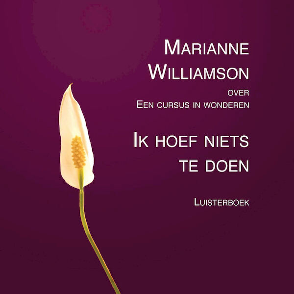 Ik hoef niets te doen - Marianne Williamson (ISBN 9789461495488)