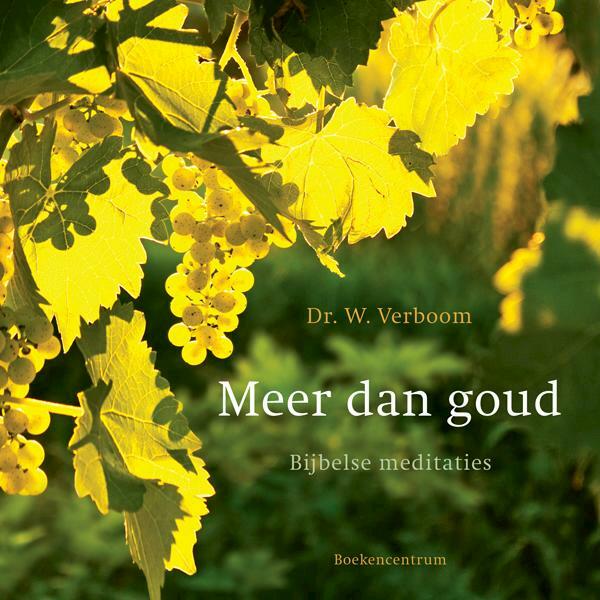 Meer dan goud - W. Verboom (ISBN 9789023929635)