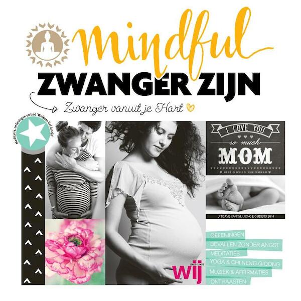 Mindful zwanger zijn - Yvon Tuinte-Zwanenburg, Anna van Amsterdam (ISBN 9789082250817)