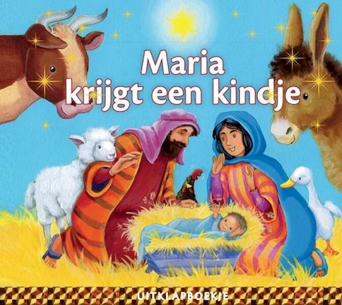 Maria krijgt een kindje - Michael Berghof (ISBN 9789086011339)