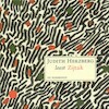 Zijtak - Judith Herzberg (ISBN 9789461491329)