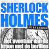 Sherlock Holmes - Het avontuur van de kroon met de berillen - Arthur Conan Doyle (ISBN 9789491159145)