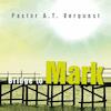 Bridge to Mark (e-Book) - A.T. Vergunst (ISBN 9789033631757)