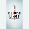 Blindelings - Kris Van Steenberge (ISBN 9789079390397)