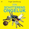 Een schitterend ongeluk - Inge Ipenburg (ISBN 9789044354645)