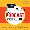 De Podcast Professor - Peter de Ruiter (ISBN 9789491833687)