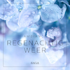 Ambiance - Regenachtig weer - Rasmus Broe (ISBN 9788726266009)