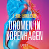 Dromen in Kopenhagen - erotisch verhaal - Terne Terkildsen (ISBN 9788726264807)