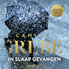 In slaap gevangen - Camilla Grebe (ISBN 9789403189802)