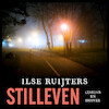 Stilleven - Ilse Ruijters (ISBN 9789026351563)