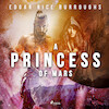 A Princess of Mars - Edgar Rice Burroughs (ISBN 9789176391358)