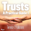 Trusts - A Practical Guide 1 - Terence O'Hallorann (ISBN 9788711674925)