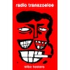 Radio Transzoeloe - Wibo Kosters (ISBN 9789493157651)