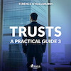 Trusts – A Practical Guide 3 - Terence O'Hallorann (ISBN 9788711674949)