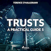 Trusts – A Practical Guide 5 - Terence O'Hallorann (ISBN 9788711674963)