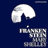 Frankenstein - Mary Shelley (ISBN 9789020416404)