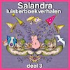 Salandra verhalen - Sandra Koole (ISBN 9789462175150)