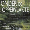 Onder de oppervlakte - Sandra Berg (ISBN 9789462175303)