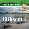Bliksem - Cobi Oosterling (ISBN 9789462175457)